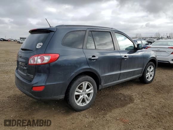 ✅ 2010 Hyundai Santa Fe SE • VIN: 5NMSHDAG2AH401992 • Lot: 77666204. Listed on Copart with 219,622 mi. Free auction sales archive from the USA and detailed vehicle history report at DreamBid. Image 3.