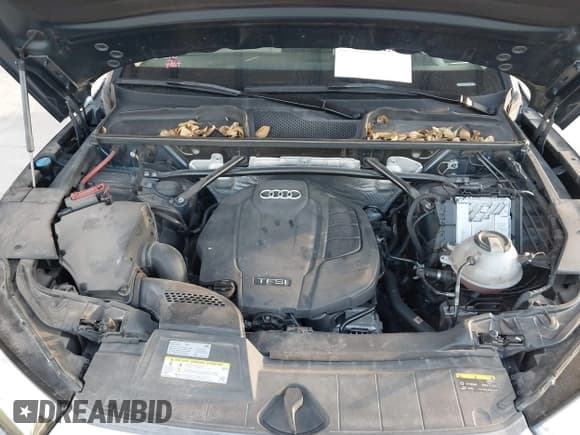 ✅ 2018 Audi Q5 Premium Plus • VIN: WA1BNAFY9J2013326 • Lot: 43729439. Listed on IAAI with 47,952 mi. Free auction sales archive from the USA and detailed vehicle history report at DreamBid. Image 10.