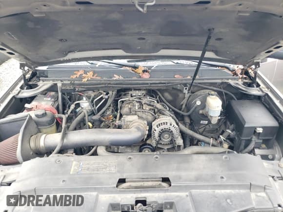 ✅ 2009 Chevrolet Suburban LS • VIN: 1GNFC16J49R184219 • Lot: 79306164. Listed on Copart with 204,958 mi. Free auction sales archive from the USA and detailed vehicle history report at DreamBid. Image 12.