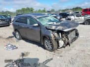 ✅ 2017 Kia Sorento LX • VIN: 5XYPGDA51HG309381 • Lot: 43051430. Listed on IAAI with Not provided. Free auction sales archive from the USA and detailed vehicle history report at DreamBid. Image 1.