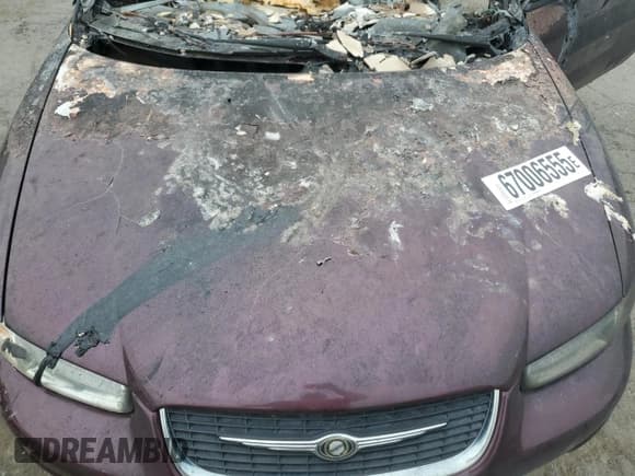 ✅ 2000 Chrysler Sebring JXi • VIN: 3C3EL55H6YT246286 • Lot: 67006555. Listed on Copart with Not provided. Free auction sales archive from the USA and detailed vehicle history report at DreamBid. Image 11.