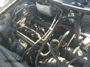 ✅ 2008 Ford Focus S • VIN: 1FAHP32N88W296229 • Лот: 41591252. Опубликован ранее на IAAI с пробегом 228 965 миль. Бесплатный доступ к архиву аукционных продаж из США и подробный отчёт об истории автомобиля на DreamBid. Изображение 19.