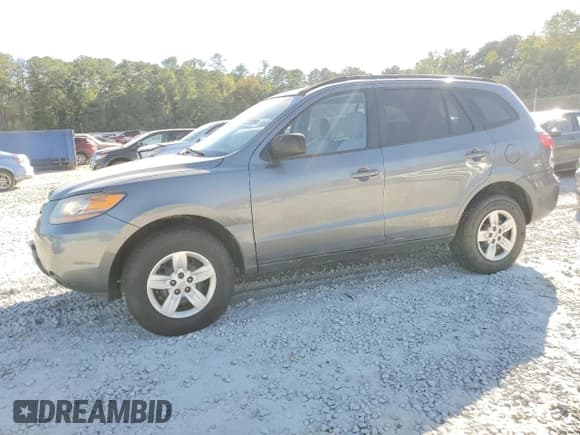 ✅ 2009 Hyundai Santa Fe GLS • VIN: 5NMSG13D69H301099 • Lot: 73309904. Listed on Copart with 167,438 mi. Free auction sales archive from the USA and detailed vehicle history report at DreamBid. Image 1.