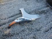 ✅ 2017 Hyundai Veloster • VIN: KMHTC6AD5HU316678 • Lot: 86390244. Wystawiony na Copart z przebiegiem 54 243 mil. Bezpłatny archiwum sprzedaży aukcyjnych z USA i szczegółowy raport historii pojazdu na DreamBid. Zdjęcie 12.