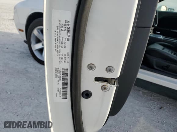 ✅ 2009 Dodge Challenger R/T • VIN: 2B3LJ54T19H603951 • Lot: 87431324. Wystawiony na Copart z przebiegiem 47 298 mil. Bezpłatny archiwum sprzedaży aukcyjnych z USA i szczegółowy raport historii pojazdu na DreamBid. Zdjęcie 13.