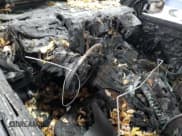 ✅ 2010 Dodge 1500 ST • VIN: 1D7RV1CT6AS197286 • Lot: 77401224. Wystawiony na Copart z przebiegiem Nie podano. Bezpłatny archiwum sprzedaży aukcyjnych z USA i szczegółowy raport historii pojazdu na DreamBid. Zdjęcie 8.