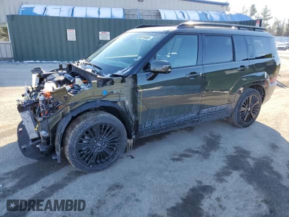 2024 Hyundai Santa Fe Calligraphy с VIN 5NMP5DG10RH001944, выставлен на аукционе Copart как лот 89210405 с пробегом 7 315 миль миль и Списание • Salvage title. История ставок и продаж доступна на DreamBid. Изображение 1.