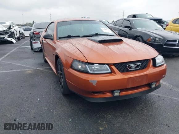 ✅ 1999 Ford Mustang GT • VIN: 1FAFP42X1XF226018 • Lot: 41506742. Listed on IAAI with Not provided. Free auction sales archive from the USA and detailed vehicle history report at DreamBid. Image 1.