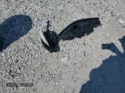 ✅ 2025 Hyundai Elantra SEL Convenience • VIN: KMHLS4DG1SU935959 • Лот: 70717685. Опубликован ранее на Copart с пробегом 2 184 миль. Бесплатный доступ к архиву аукционных продаж из США и подробный отчёт об истории автомобиля на DreamBid. Изображение 12.