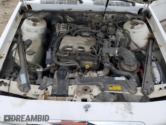 ✅ 1996 Buick Century Special SJ • VIN: 1G4AG55M4T6417935 • Lot: 78869044. Wystawiony na Copart z przebiegiem 109 113 mil. Bezpłatny archiwum sprzedaży aukcyjnych z USA i szczegółowy raport historii pojazdu na DreamBid. Zdjęcie 11.