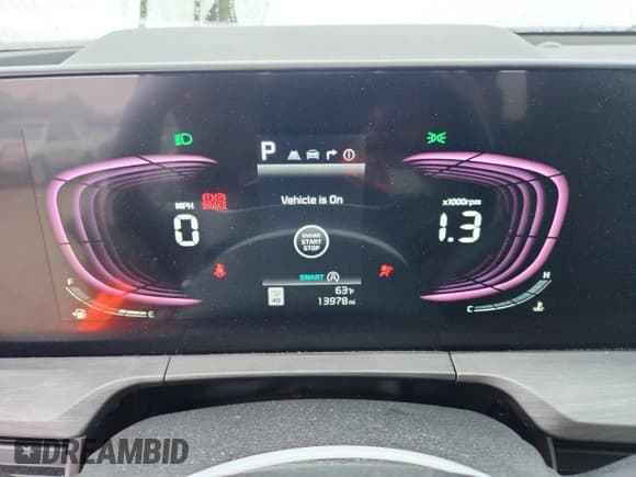 ✅ 2024 Kia Telluride EX X-Line • VIN: 5XYP3DGC3RG460239 • Lot: 80366055. Wystawiony na Copart z przebiegiem 13 978 mil. Bezpłatny archiwum sprzedaży aukcyjnych z USA i szczegółowy raport historii pojazdu na DreamBid. Zdjęcie 9.