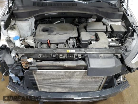 ✅ 2018 Hyundai Santa Fe 2.4L • VIN: 5NMZUDLBXJH099816 • Лот: 51922764. Опубликован ранее на Copart с пробегом 57 229 миль. Бесплатный доступ к архиву аукционных продаж из США и подробный отчёт об истории автомобиля на DreamBid. Изображение 12.