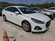 ✅ 2019 Hyundai Sonata SEL • VIN: 5NPE34AF7KH789034 • Lot: 43908303. Listed on Copart with Not provided. Free auction sales archive from the USA and detailed vehicle history report at DreamBid. Image 4.