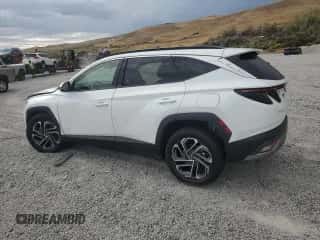 2025 Hyundai Tucson Limited with VIN KM8JEDD18SU287286, listed as a Copart auction lot 81851315 with 5,036 mi miles and Salvage title. Bid and sale history available at DreamBid. Image 2.