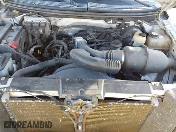 ✅ 2007 Ford F-150 XLT • VIN: 1FTRW12W17KD08113 • Lot: 43600300. Wystawiony na IAAI z przebiegiem 194 534 mil. Bezpłatny archiwum sprzedaży aukcyjnych z USA i szczegółowy raport historii pojazdu na DreamBid. Zdjęcie 10.