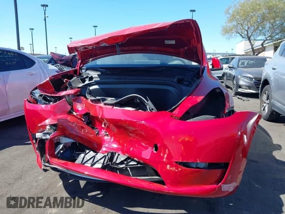 ✅ 2023 Tesla Model Y Performance • VIN: 7SAYGDEF9PF924907 • Lot: 43384203. Wystawiony na IAAI z przebiegiem 16 211 mil. Bezpłatny archiwum sprzedaży aukcyjnych z USA i szczegółowy raport historii pojazdu na DreamBid. Zdjęcie 6.