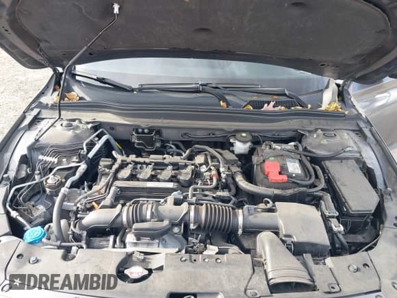 ✅ 2019 Honda Accord Sport • VIN: 1HGCV1F30KA062356 • Lot: 43567921. Listed on IAAI with 52,749 mi. Free auction sales archive from the USA and detailed vehicle history report at DreamBid. Image 10.