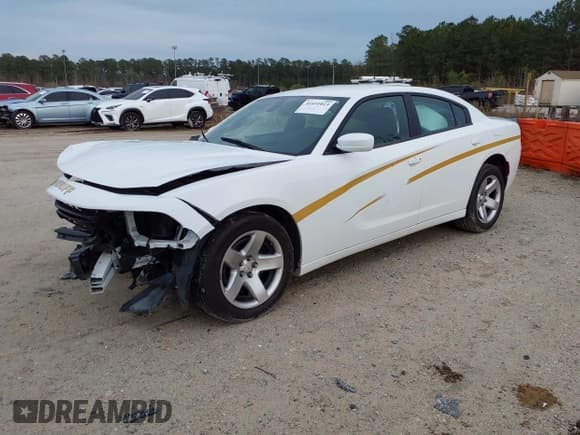 ✅ 2019 Dodge Charger Police • VIN: 2C3CDXAT2KH514146 • Lot: 41431813. Wystawiony na IAAI z przebiegiem 111 411 mil. Bezpłatny archiwum sprzedaży aukcyjnych z USA i szczegółowy raport historii pojazdu na DreamBid. Zdjęcie 17.
