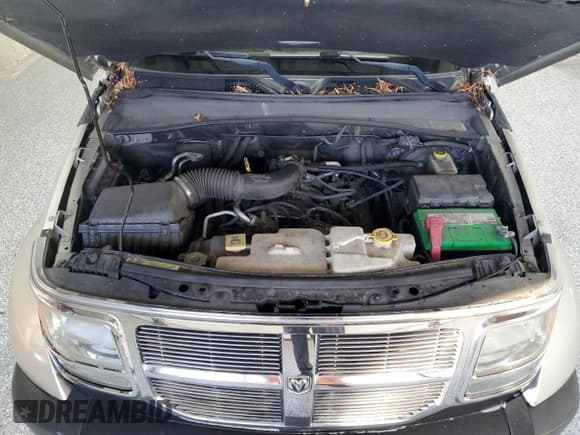 ✅ 2008 Dodge Nitro SXT • VIN: 1D8GU28K68W217809 • Lot: 84926975. Wystawiony na Copart z przebiegiem 142 716 mil. Bezpłatny archiwum sprzedaży aukcyjnych z USA i szczegółowy raport historii pojazdu na DreamBid. Zdjęcie 12.