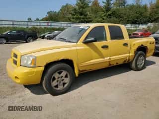 2006 Dodge Dakota SLT с VIN 1D7HW48N86S679222, выставлен на аукционе Copart как лот 71169894 с пробегом 115 545 миль миль и Списание • Salvage title. История ставок и продаж доступна на DreamBid. Изображение 1.