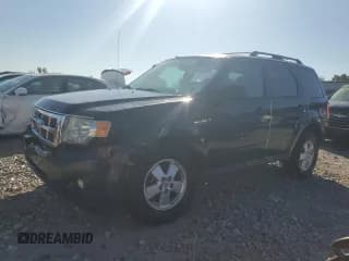 ✅ 2011 Ford Escape XLT • VIN: 1FMCU0D75BKA26704 • Lot: 84446025. Listed on Copart with 253,540 mi. Free auction sales archive from the USA and detailed vehicle history report at DreamBid. Image 1.