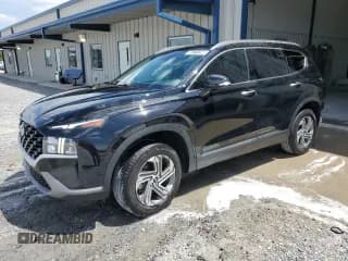 ✅ 2023 Hyundai Santa Fe SEL • VIN: 5NMS2DAJ0PH579129 • Lot: 59771194. Wystawiony na Copart z przebiegiem 44 430 mil. Bezpłatny archiwum sprzedaży aukcyjnych z USA i szczegółowy raport historii pojazdu na DreamBid. Zdjęcie 1.