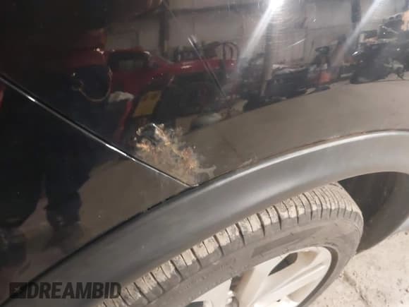 ✅ 2016 Nissan Juke SV • VIN: JN8AF5MV2GT655036 • Lot: 43810355. Listed on IAAI with 186,966 mi. Free auction sales archive from the USA and detailed vehicle history report at DreamBid. Image 6.