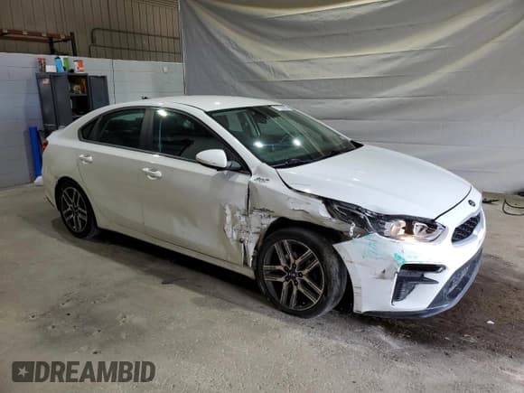 ✅ 2019 Kia Forte S • VIN: 3KPF34AD3KE117916 • Lot: 71792895. Listed on Copart with 126,459 mi. Free auction sales archive from the USA and detailed vehicle history report at DreamBid. Image 4.