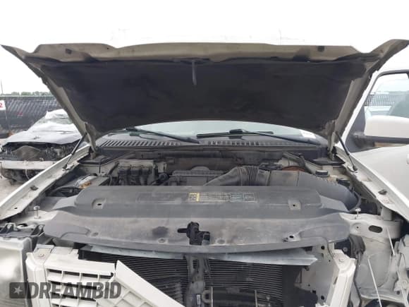 ✅ 2006 Ford Expedition Limited • VIN: 1FMFU19546LA22637 • Lot: 42108132. Wystawiony na IAAI z przebiegiem 189 488 mil. Bezpłatny archiwum sprzedaży aukcyjnych z USA i szczegółowy raport historii pojazdu na DreamBid. Zdjęcie 10.