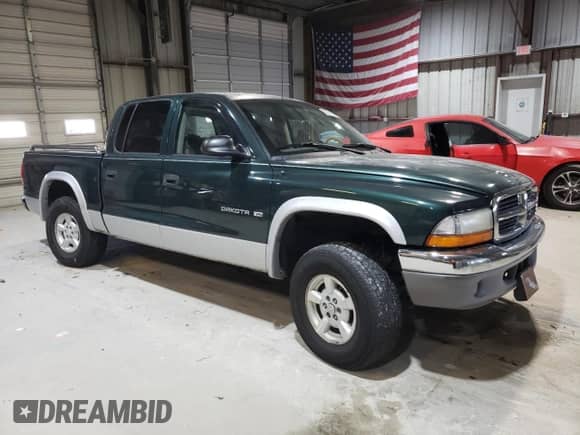 2001 Dodge Dakota Sport with VIN 1B7HG2AZ91S226339, listed as a Copart auction lot 89016685 with Not provided miles and Salvage title. Bid and sale history available at DreamBid. Image 4.