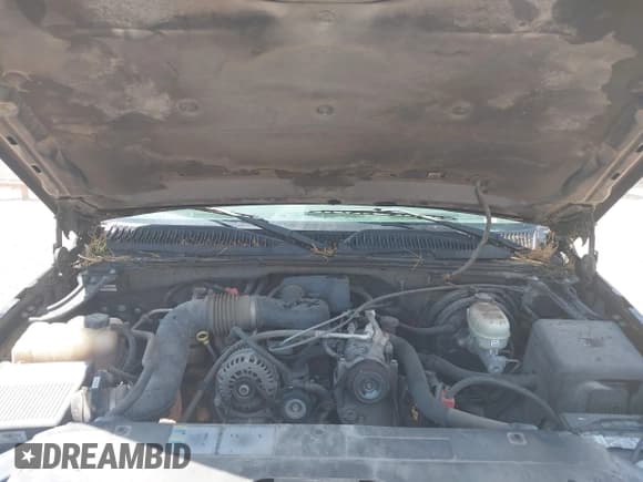 ✅ 2005 Chevrolet Silverado 1500 Work Truck • VIN: 1GCEC14X55Z109373 • Лот: 42303706. Опубликован ранее на IAAI с пробегом 242 390 миль. Бесплатный доступ к архиву аукционных продаж из США и подробный отчёт об истории автомобиля на DreamBid. Изображение 10.