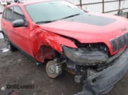 ✅ 2019 Jeep Cherokee Trailhawk • VIN: 1C4PJMBX4KD337408 • Лот: 41788054. Опубликован ранее на IAAI с пробегом 42 365 миль. Бесплатный доступ к архиву аукционных продаж из США и подробный отчёт об истории автомобиля на DreamBid. Изображение 6.