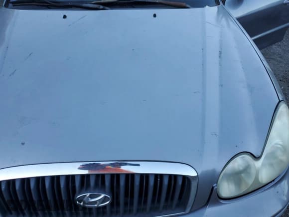 ✅ 2005 Hyundai Sonata GLS • VIN: KMHWF35H95A137332 • Lot: 90840785. Wystawiony na Copart z przebiegiem Nie podano. Bezpłatny archiwum sprzedaży aukcyjnych z USA i szczegółowy raport historii pojazdu na DreamBid. Zdjęcie 11.