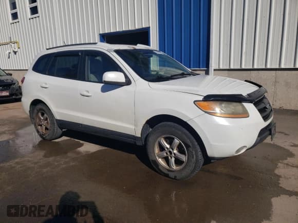 ✅ 2009 Hyundai Santa Fe GL • VIN: 5NMSG73E29H285379 • Lot: 75909534. Listed on Copart with 276,419 mi. Free auction sales archive from the USA and detailed vehicle history report at DreamBid. Image 4.