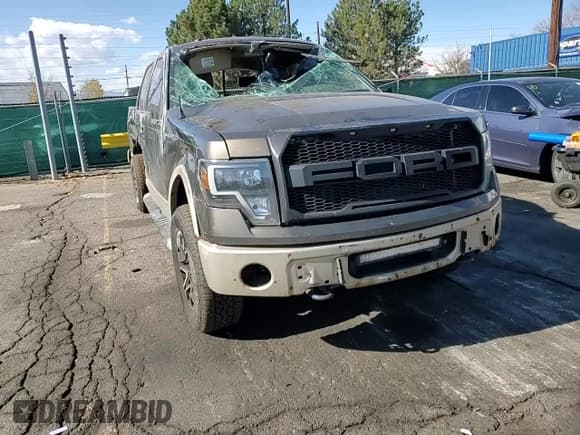 ✅ 2009 Ford F-150 XL • VIN: 1FTPW14V39FA81420 • Lot: 91905955. Listed on Copart with 222,189 mi. Free auction sales archive from the USA and detailed vehicle history report at DreamBid. Image 13.