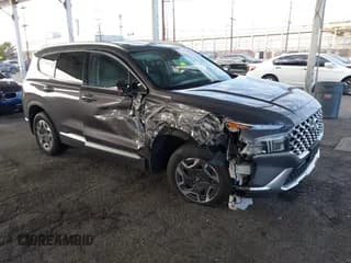 ✅ 2021 Hyundai Santa Fe Blue • VIN: KM8S2DA12MU006345 • Lot: 41505836. Listed on IAAI with 96,446 mi. Free auction sales archive from the USA and detailed vehicle history report at DreamBid. Image 1.