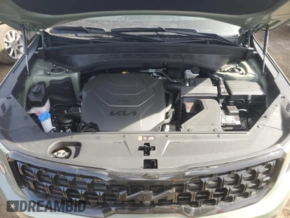 ✅ 2025 Kia Telluride SX X-Line • VIN: 5XYP5DGCXSG590552 • Lot: 46502485. Listed on Copart with 901 mi. Free auction sales archive from the USA and detailed vehicle history report at DreamBid. Image 13.