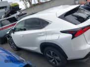 ✅ 2021 Lexus NX 300 • VIN: JTJGARBZ1M5031260 • Лот: 43720213. Опубликован ранее на IAAI с пробегом 18 419 миль. Бесплатный доступ к архиву аукционных продаж из США и подробный отчёт об истории автомобиля на DreamBid. Изображение 15.