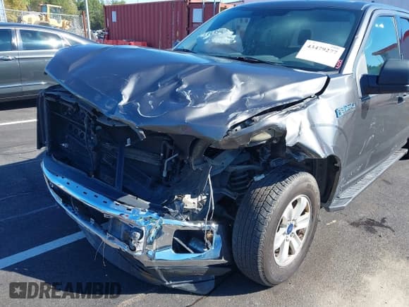 ✅ 2015 Ford F-150 XL • VIN: 1FTEX1C83FFA38109 • Lot: 43479277. Listed on IAAI with 222,215 mi. Free auction sales archive from the USA and detailed vehicle history report at DreamBid. Image 6.