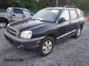 2005 Hyundai Santa Fe GLS z VIN KM8SC73E35U962806, wystawiony jako IAAI lot #42857874 z przebiegiem 163 925 mil mil oraz . Historia ofert i sprzedaży dostępna na DreamBid. Obrazek 2.