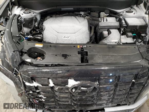 ✅ 2023 Hyundai Palisade SEL • VIN: KM8R4DGE3PU612048 • Lot: 42352885. Listed on Copart with 26,946 mi. Free auction sales archive from the USA and detailed vehicle history report at DreamBid. Image 12.