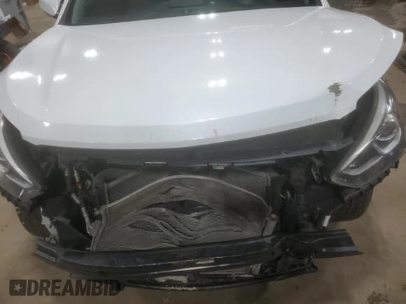 ✅ 2017 Hyundai Santa Fe 2.4L • VIN: 5XYZTDLB8HG440895 • Lot: 92274295. Wystawiony na Copart z przebiegiem 140 207 mil. Bezpłatny archiwum sprzedaży aukcyjnych z USA i szczegółowy raport historii pojazdu na DreamBid. Zdjęcie 11.