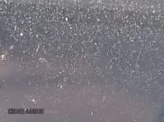 ✅ 2019 Ford F-250 XL • VIN: 1FT7W2B66KED62074 • Lot: 43092018. Listed on IAAI with 103,280 mi. Free auction sales archive from the USA and detailed vehicle history report at DreamBid. Image 14.