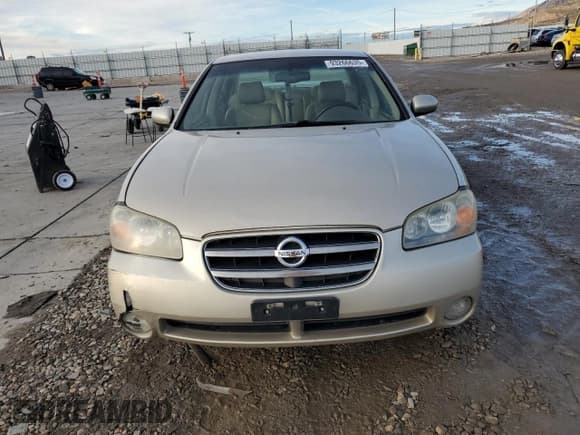 ✅ 2002 Nissan Maxima SE • VIN: JN1DA31D42T203883 • Лот: 93266635. Опубликован ранее на Copart с пробегом 159 128 миль. Бесплатный доступ к архиву аукционных продаж из США и подробный отчёт об истории автомобиля на DreamBid. Изображение 5.