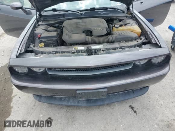 2014 Dodge Challenger SXT 100th Anniversary with VIN 2C3CDYAG6EH294961, listed as a Copart auction lot 58790705 with 184,498 mi miles and Salvage title. Bid and sale history available at DreamBid. Image 11.