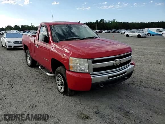 ✅ 2009 Chevrolet Silverado 1500 Work Truck • VIN: 1GCEC140X9Z196258 • Lot: 58011625. Listed on Copart with 281,120 mi. Free auction sales archive from the USA and detailed vehicle history report at DreamBid. Image 14.