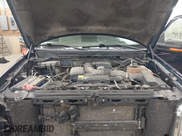 ✅ 2010 Ford F-150 XL • VIN: 1FTFX1EV8AKE37699 • Lot: 43416316. Listed on IAAI with 177,325 mi. Free auction sales archive from the USA and detailed vehicle history report at DreamBid. Image 10.