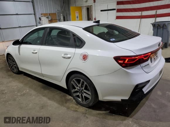 ✅ 2019 Kia Forte S • VIN: 3KPF34AD3KE117916 • Lot: 71792895. Listed on Copart with 126,459 mi. Free auction sales archive from the USA and detailed vehicle history report at DreamBid. Image 2.