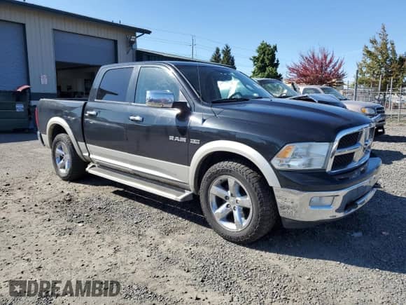 2010 Dodge 1500 Laramie с VIN 1D7RV1CTXAS124230, выставлен на аукционе Copart как лот 73375234 с пробегом 171 719 миль миль и Списание • Salvage title. История ставок и продаж доступна на DreamBid. Изображение 4.