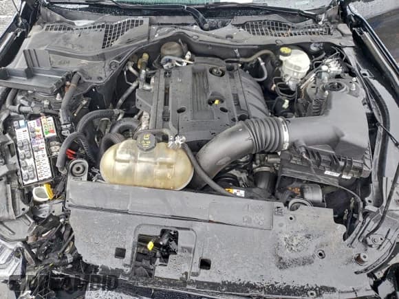 ✅ 2018 Ford Mustang EcoBoost • VIN: 1FA6P8TH5J5112079 • Lot: 94637065. Wystawiony na Copart z przebiegiem 64 319 mil. Bezpłatny archiwum sprzedaży aukcyjnych z USA i szczegółowy raport historii pojazdu na DreamBid. Zdjęcie 11.